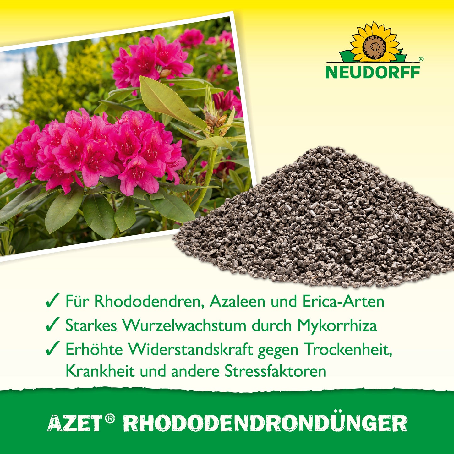 Organischer Rhododendron und Azaleen Volldünger für kräftige Blütenpracht-Neudorff Shop
