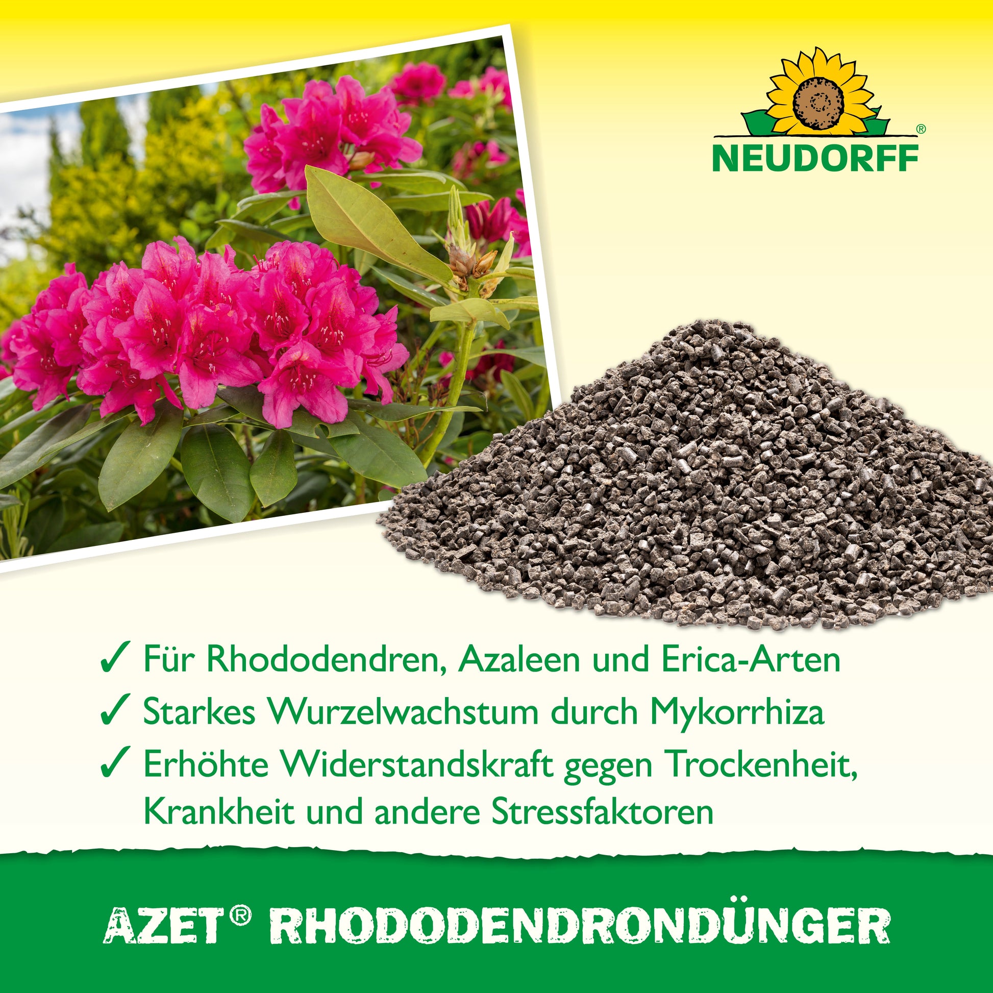 Organischer Rhododendron und Azaleen Volldünger für kräftige Blütenpracht-Neudorff Shop
