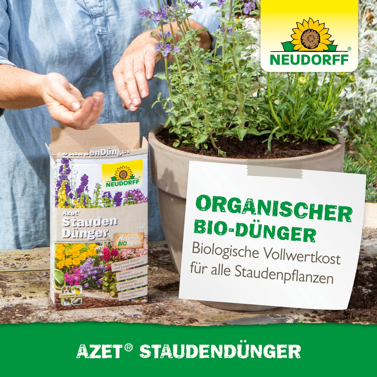 Azet Stauden Dünger organisch für gesunde und blühstarke Stauden-Neudorff Shop