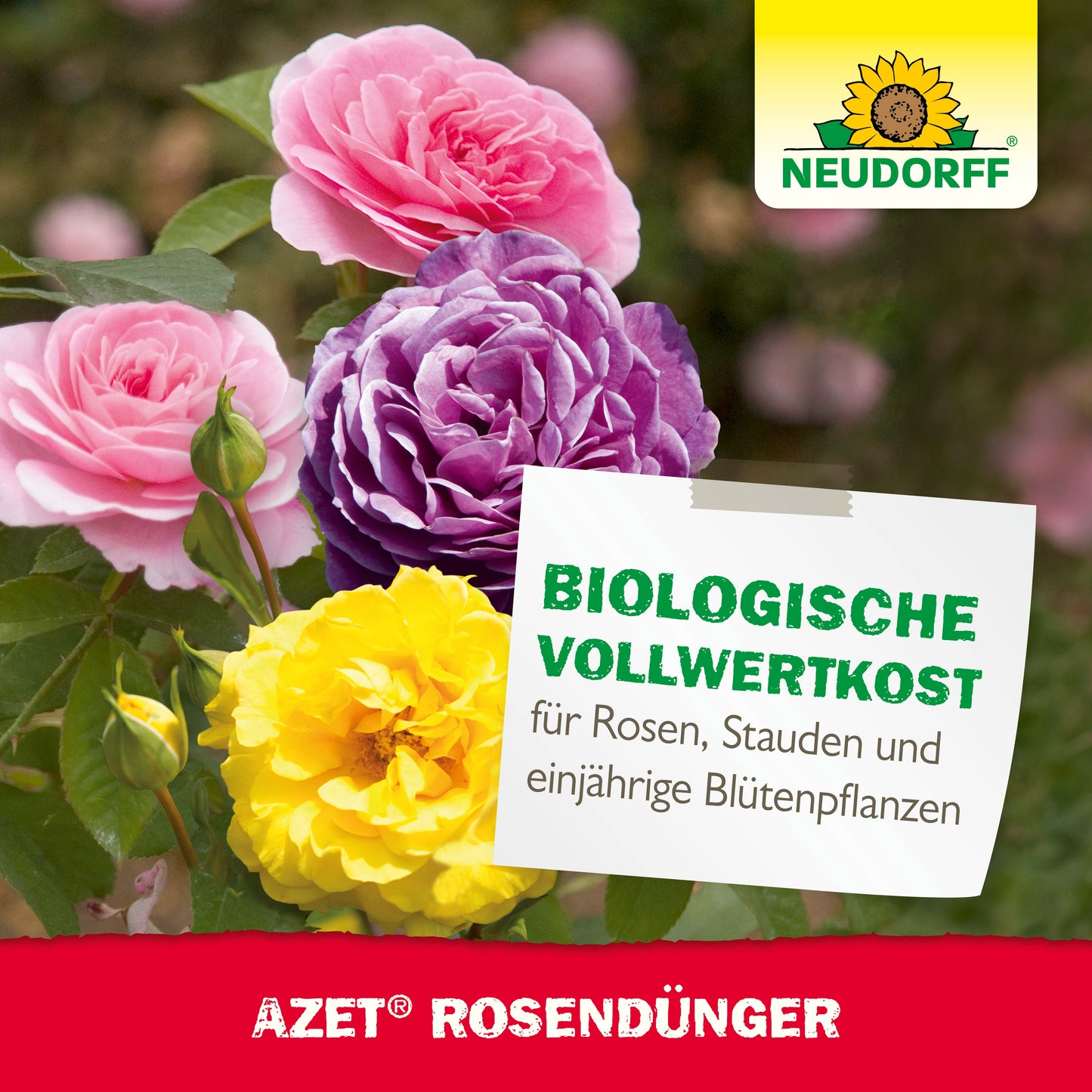 Organischer Rosendünger für üppige und kräftige Rosenblüten-Neudorff Shop