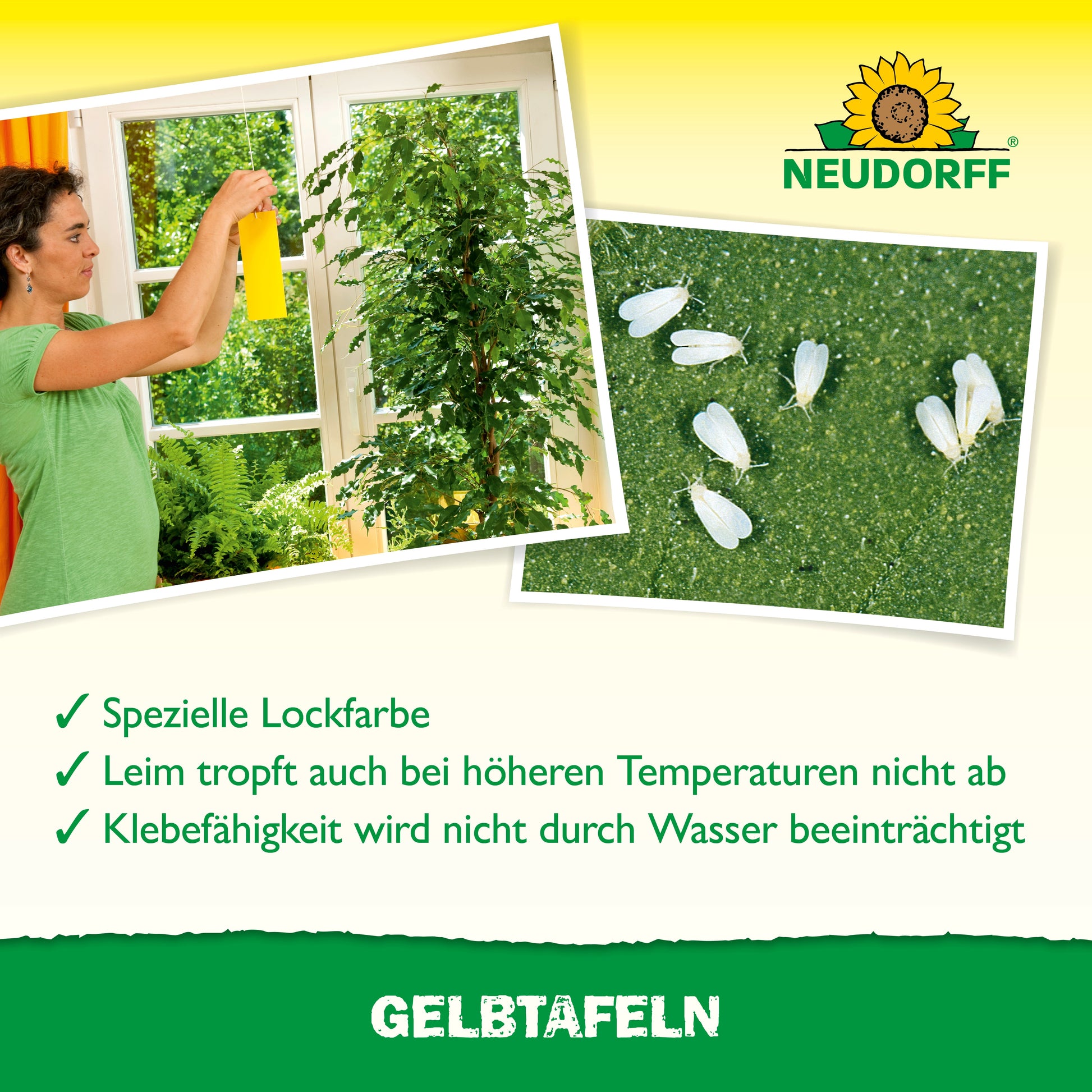 Gelbtafeln kleinformatig zur wirksamen Schädlingsbekämpfung im Haus und Garten-Neudorff Shop