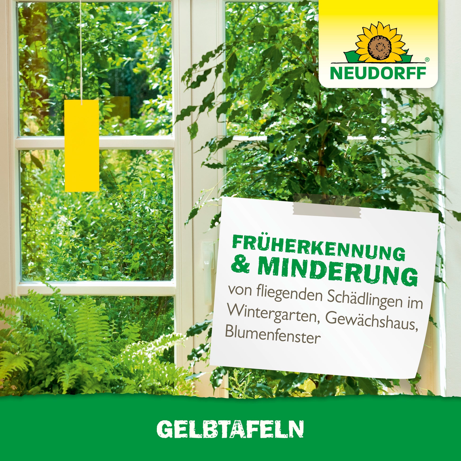 Gelbtafeln kleinformatig zur wirksamen Schädlingsbekämpfung im Haus und Garten-Neudorff Shop