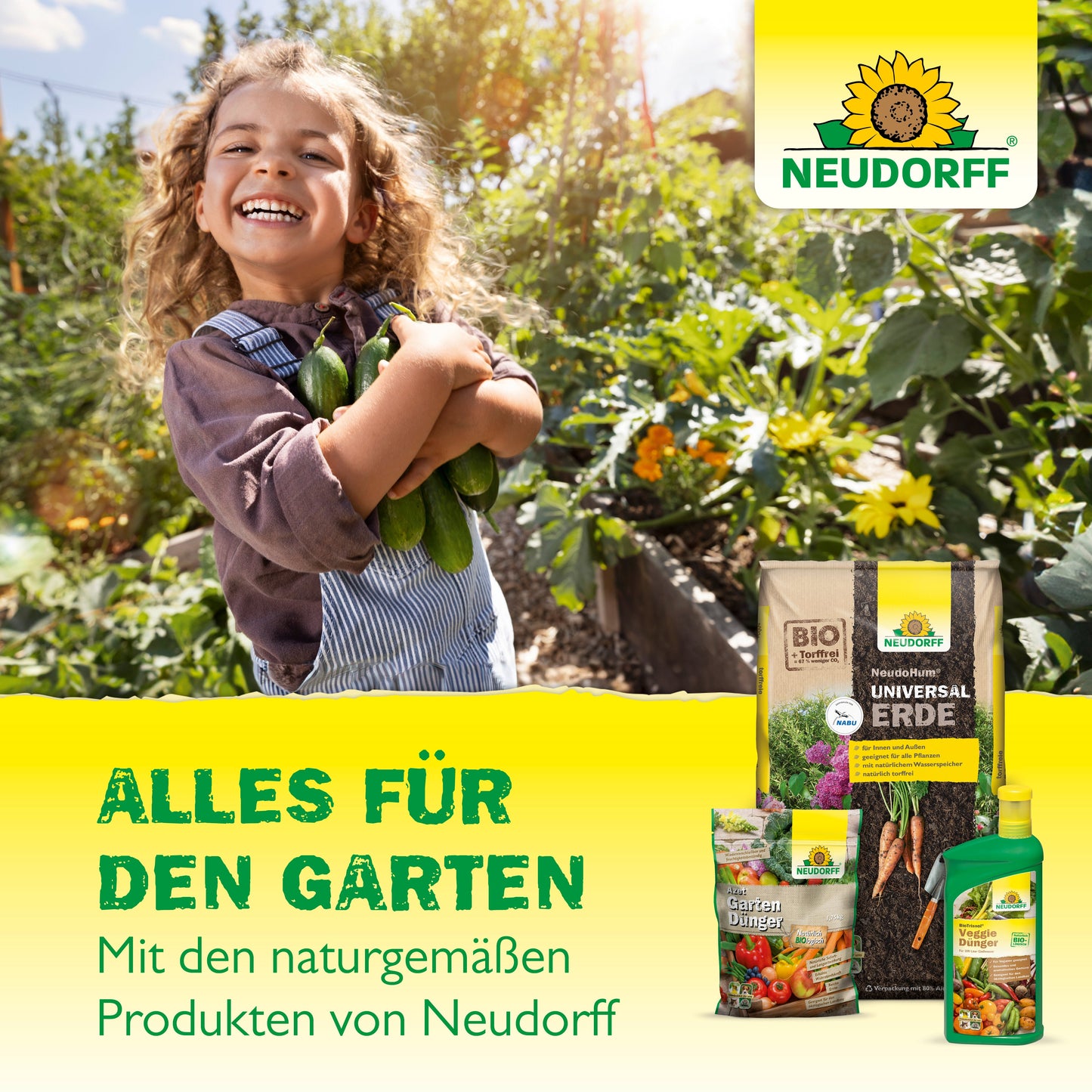 Gelbtafeln kleinformatig zur wirksamen Schädlingsbekämpfung im Haus und Garten-Neudorff Shop