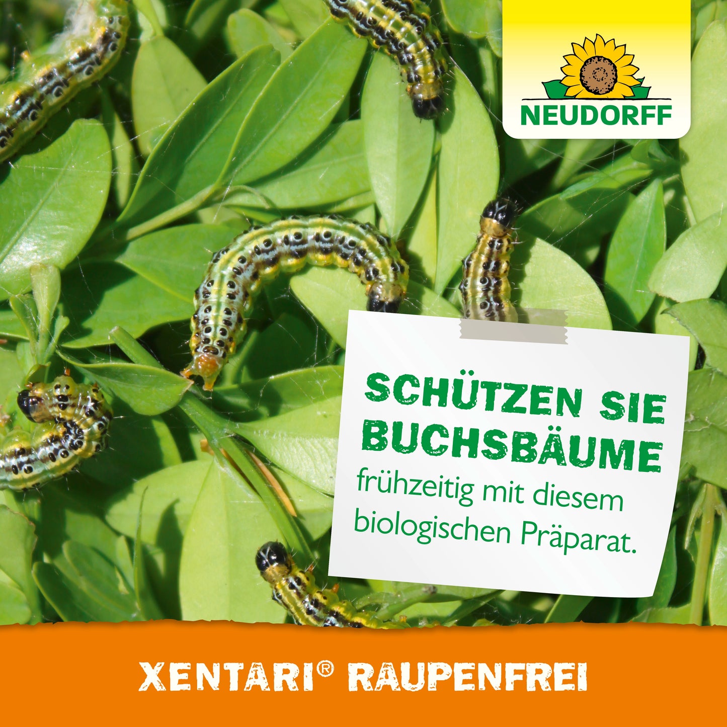 Xentari RaupenFrei-Neudorff Shop