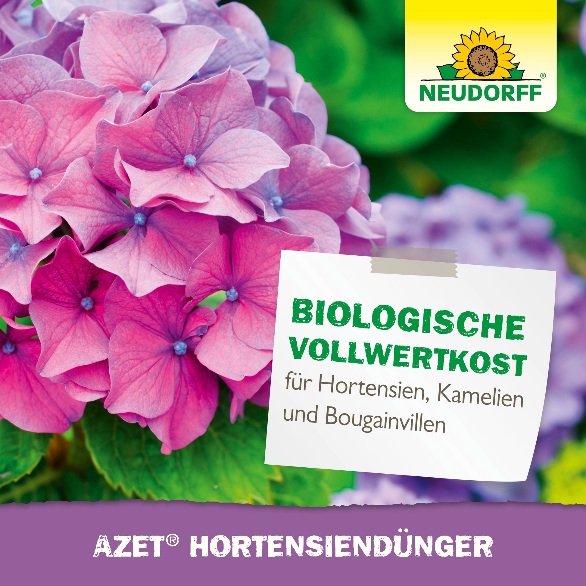 Organischer Hortensienduenger für gesunde und üppige Blueten-Neudorff Shop