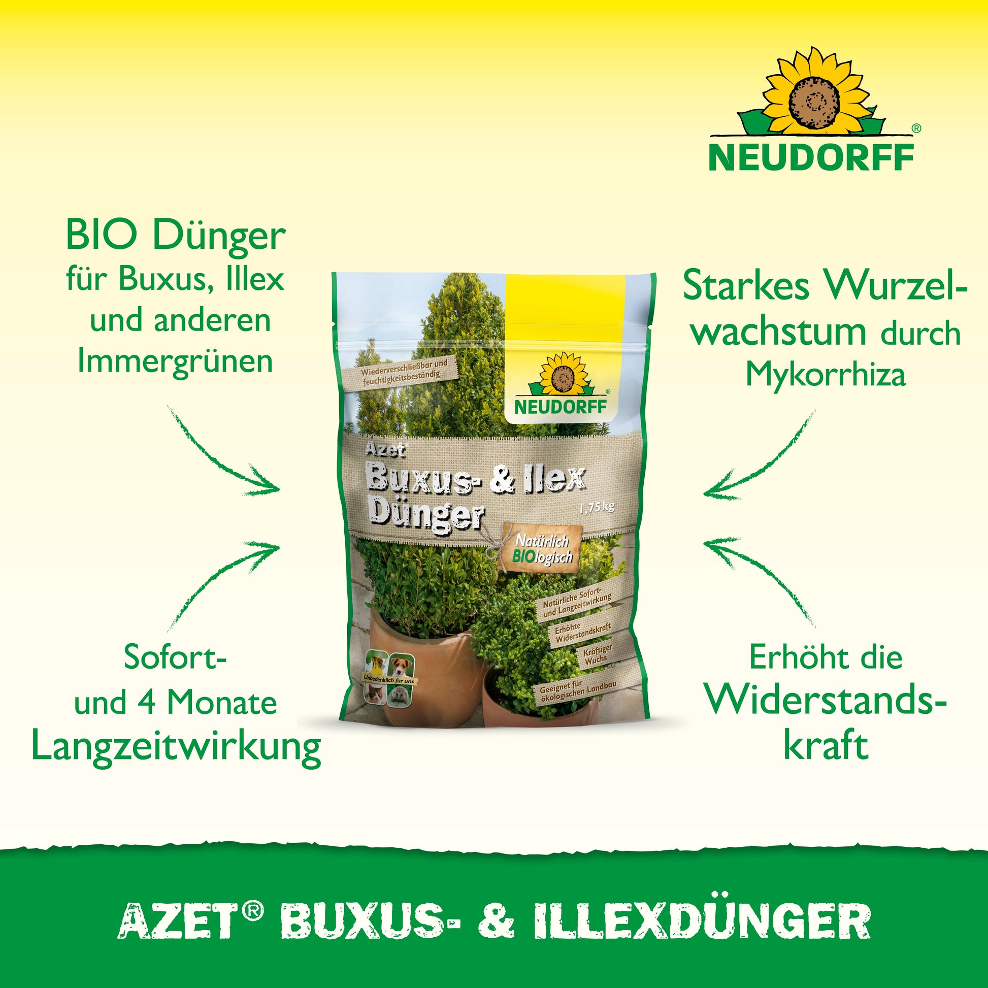 Organischer Buxus und Ilex Dünger für gesunde immergrüne Pflanzen-Neudorff Shop