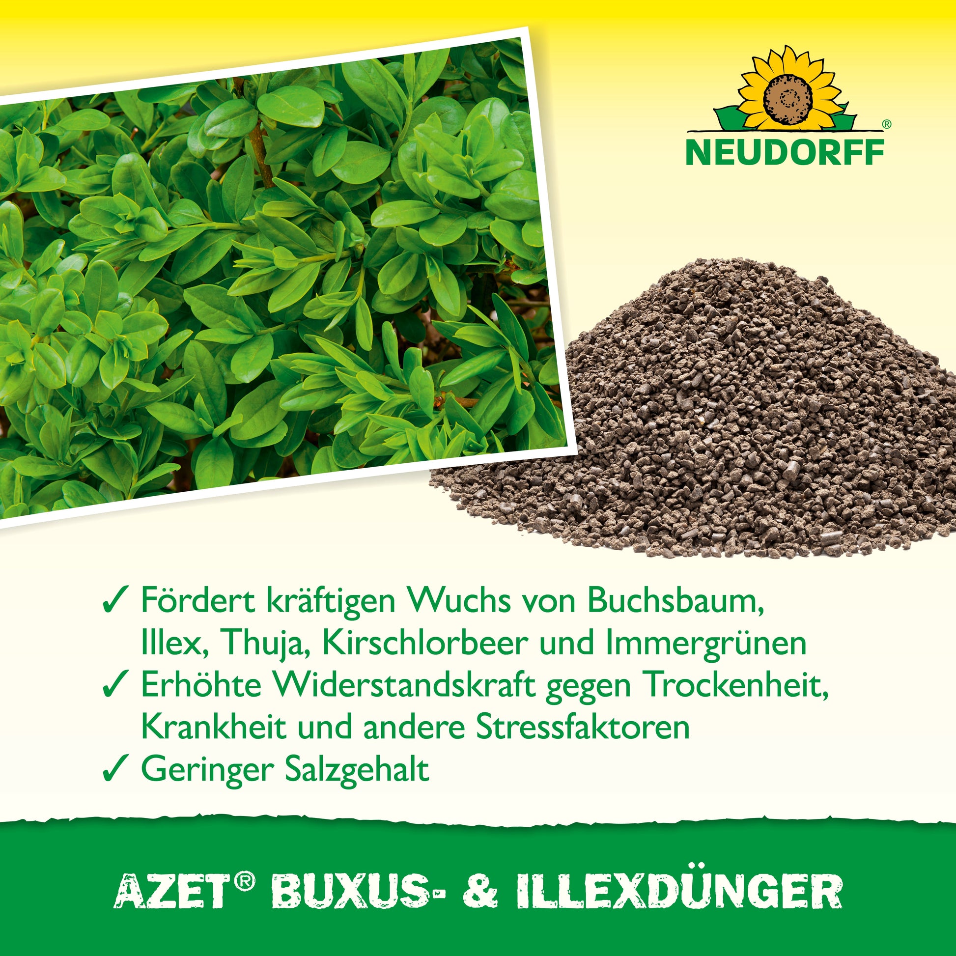 Organischer Buxus und Ilex Dünger für gesunde immergrüne Pflanzen-Neudorff Shop