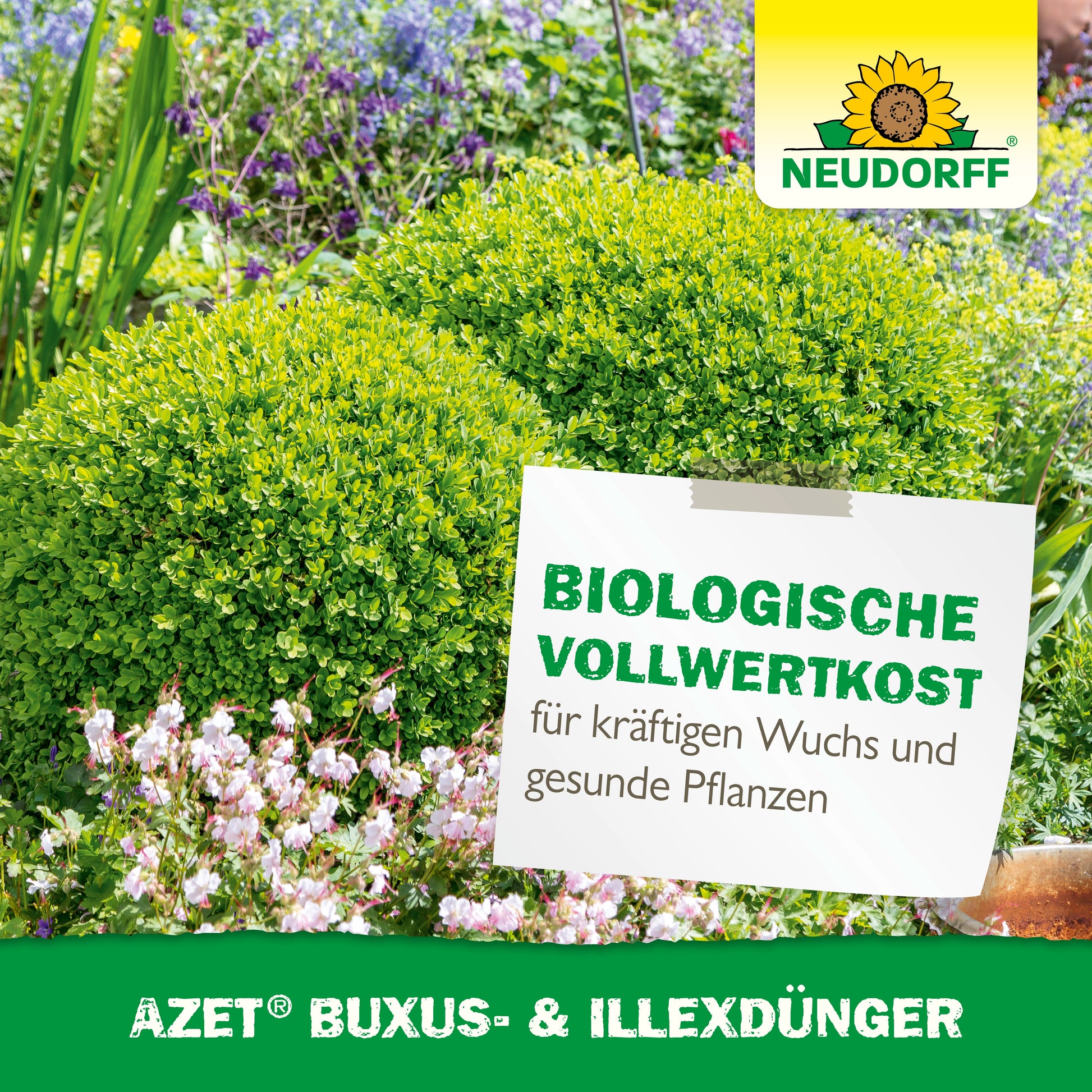 Organischer Buxus und Ilex Dünger für gesunde immergrüne Pflanzen-Neudorff Shop