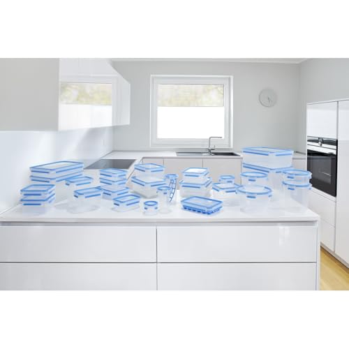 EMSA Clip & Close Frischhaltedose, Eiswürfelform, 22,6 x 16,5 x 4,9 cm, flexibler Boden, Aufbewahrungsbox, 100 Prozent dicht, spülmaschinen-, gefrier-, mikrowellenfest, Blau, Made in Germany, 514549