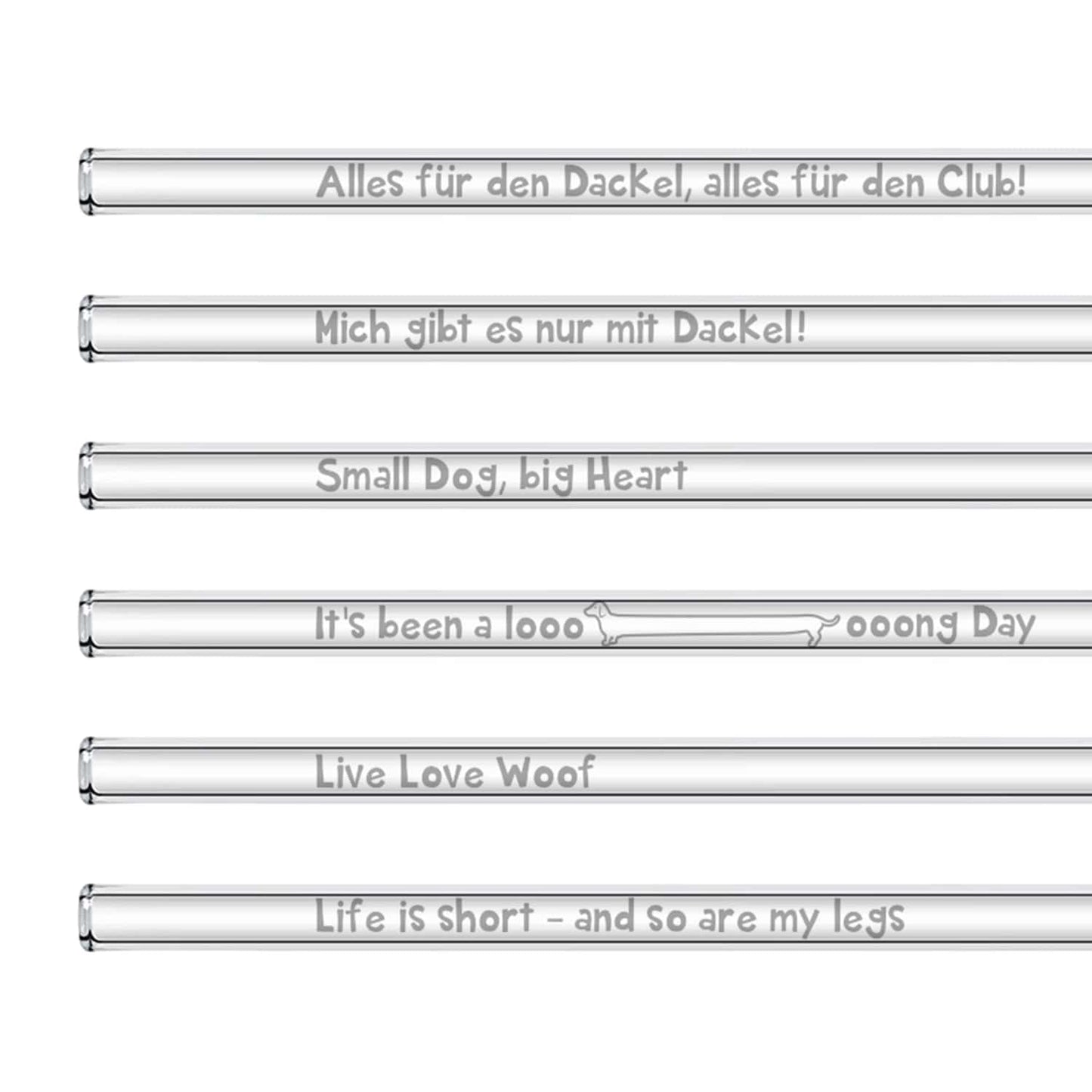 Dackel Glasstrohhalme 6 lustige Dackel Sprüche für alle Hundeliebhaber