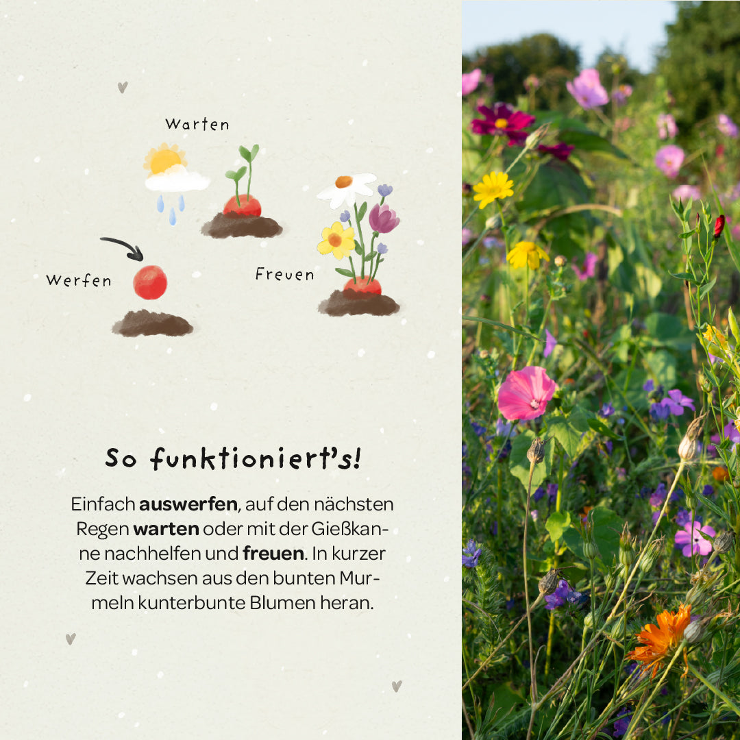 5 bunte Blumenmurmeln im Tütchen zur Einschulung Du bist 1. Klasse-Die Stadtgärtner