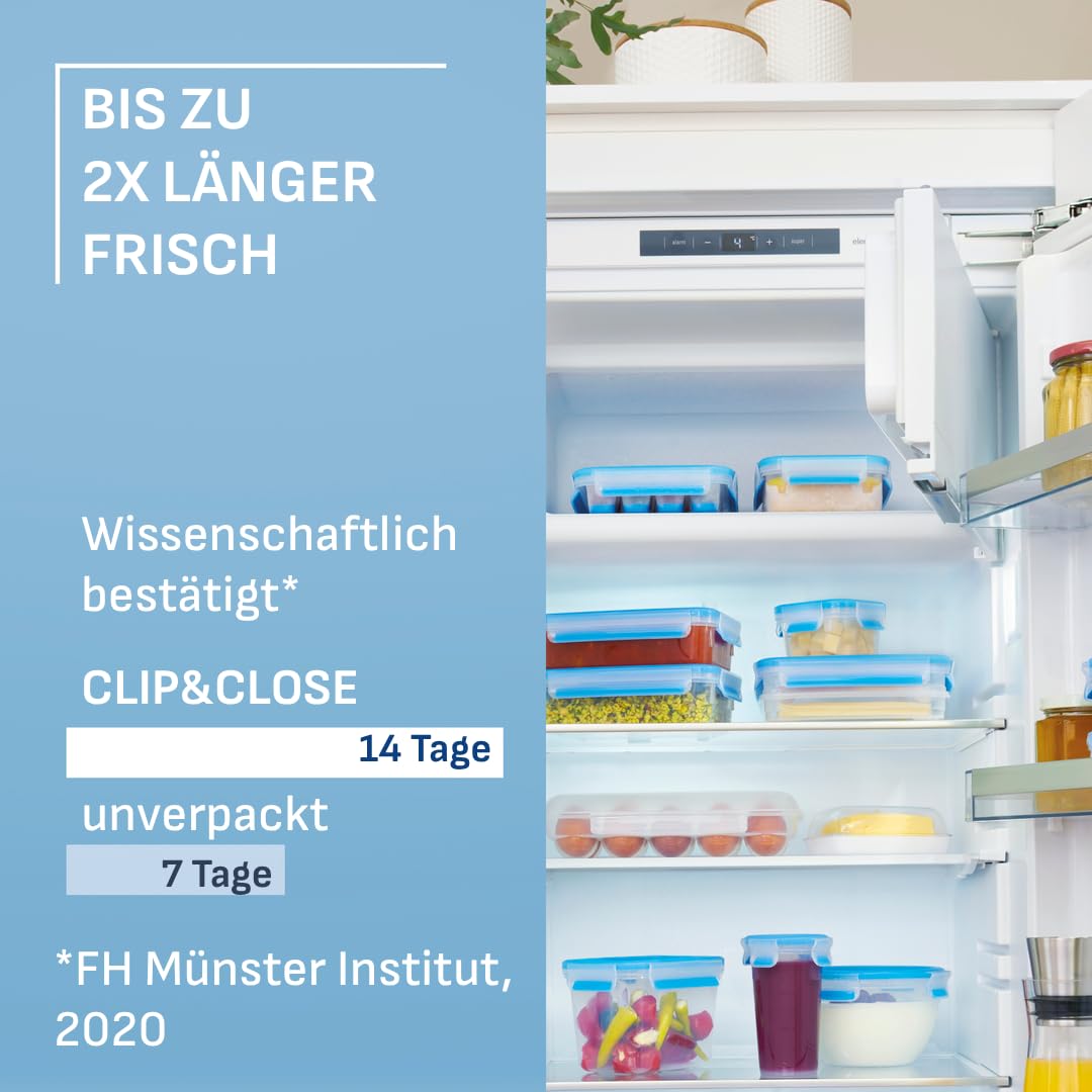 EMSA Clip & Close Frischhaltedose, Eiswürfelform, 22,6 x 16,5 x 4,9 cm, flexibler Boden, Aufbewahrungsbox, 100 Prozent dicht, spülmaschinen-, gefrier-, mikrowellenfest, Blau, Made in Germany, 514549