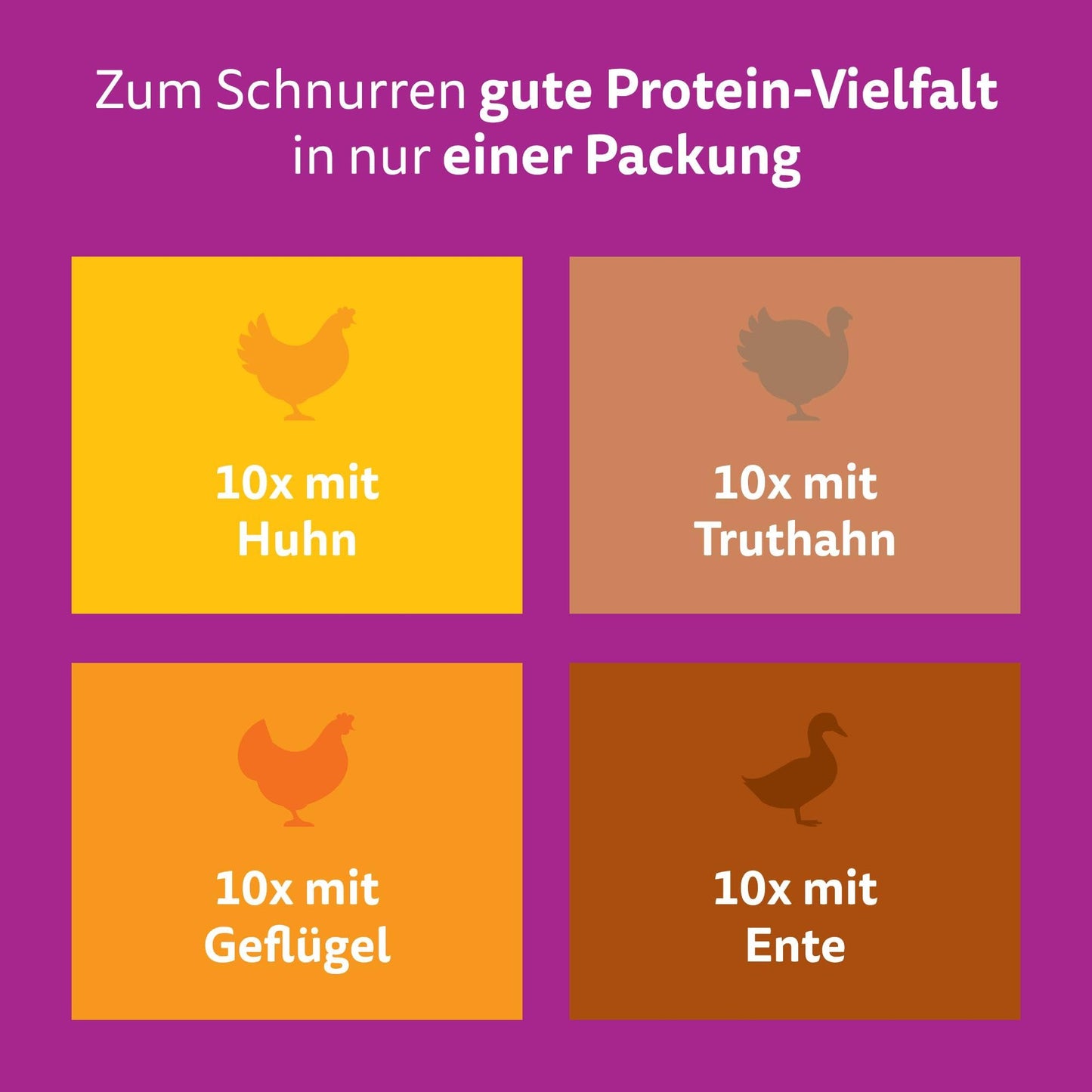 Whiskas 1+ Katzennassfutter Ragout Geflügel Auswahl in Gelee, 40x85g (1 Packung) – Hochwertiges Nassfutter für ausgewachsene Katzen in 40 Portionsbeuteln