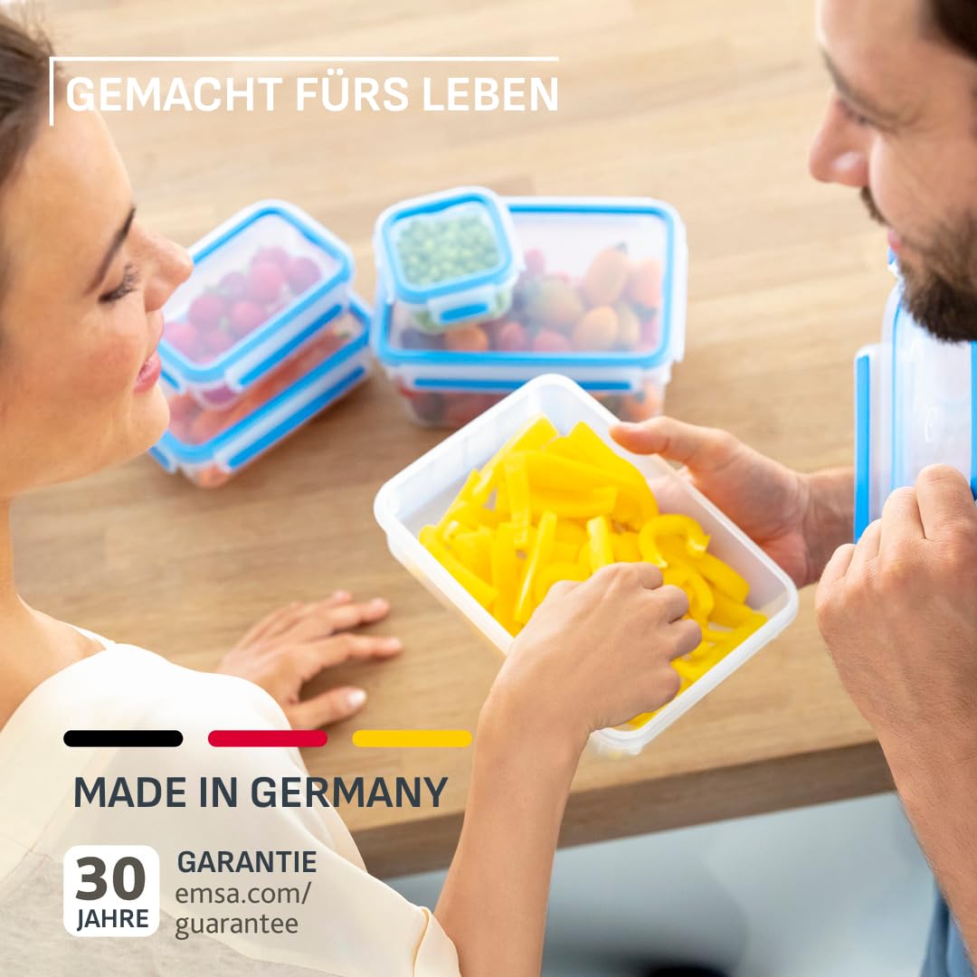 EMSA Clip & Close Frischhaltedose, Eiswürfelform, 22,6 x 16,5 x 4,9 cm, flexibler Boden, Aufbewahrungsbox, 100 Prozent dicht, spülmaschinen-, gefrier-, mikrowellenfest, Blau, Made in Germany, 514549