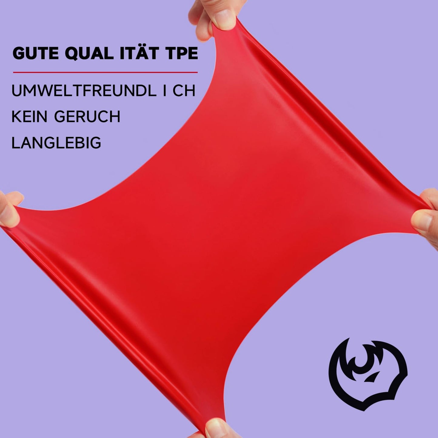 FitBeast Fitnessbaender 3er Set 2 Meter mit Tragetasche und Trainingsposter