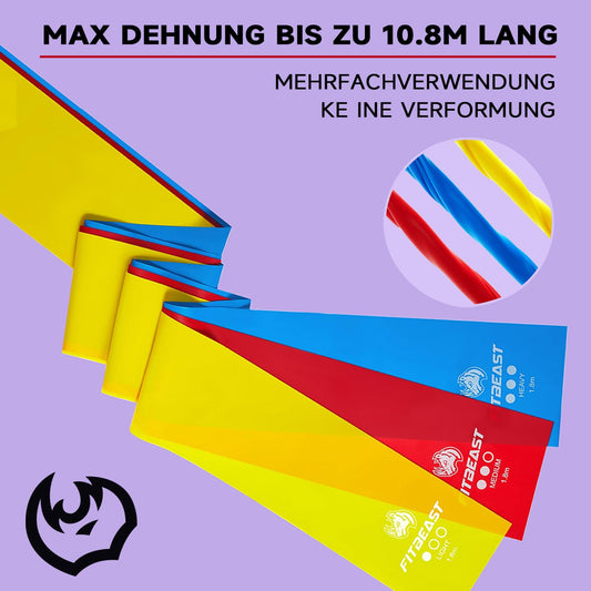 FitBeast Fitnessbaender 3er Set 2 Meter mit Tragetasche und Trainingsposter