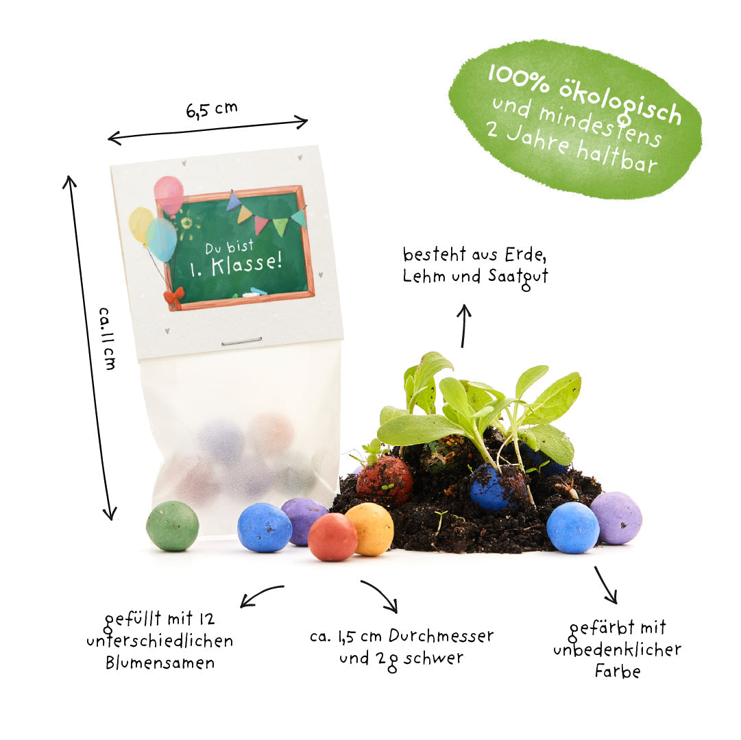 5 bunte Blumenmurmeln im Tütchen zur Einschulung Du bist 1. Klasse-Die Stadtgärtner