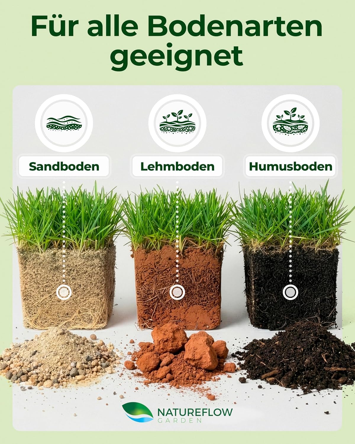 Rasensamen schnellkeimend Frühjahr & Sommer 1kg – TEST SEHR GUT – Grassamen schnellkeimend Rasen Nachsaat Made in Germany – Rasensaat 40qm - Rasensamen Frühjahr & Sommer Samen von Natureflow