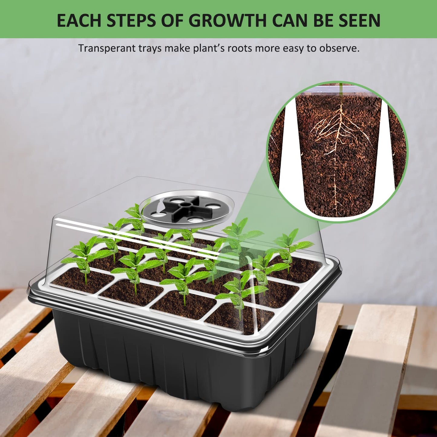 YAUNGEL Mini Gewächshaus 6 Stück 72 Zellen Anzuchtset mit Deckel und Belüftung-YAUNGEL