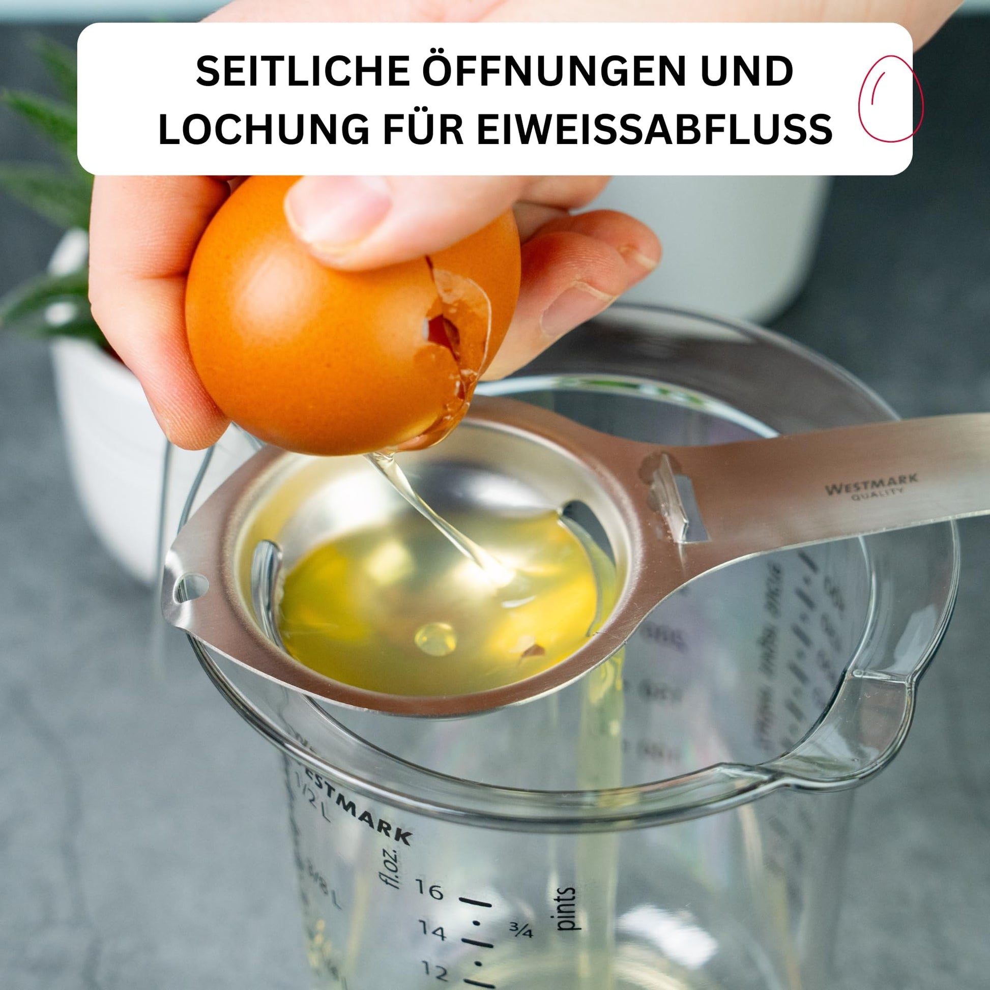 Westmark Eidottertrenner aus Edelstahl mit langem Griff 16,7 cm-Westmark