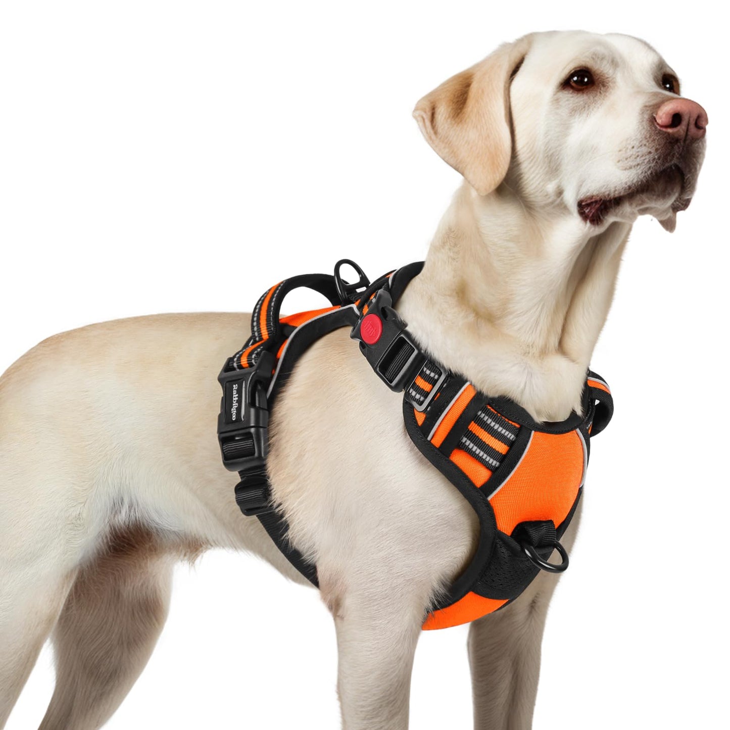 rabbitgoo Hundegeschirr Grosse Hunde, Verstellbare Geschirr Hund ohne Zug & Würgen, Anti Zug Hundegeschirr mit Griff, weich Gepolsterte Reflektierende Brustgeschirr, Orange L