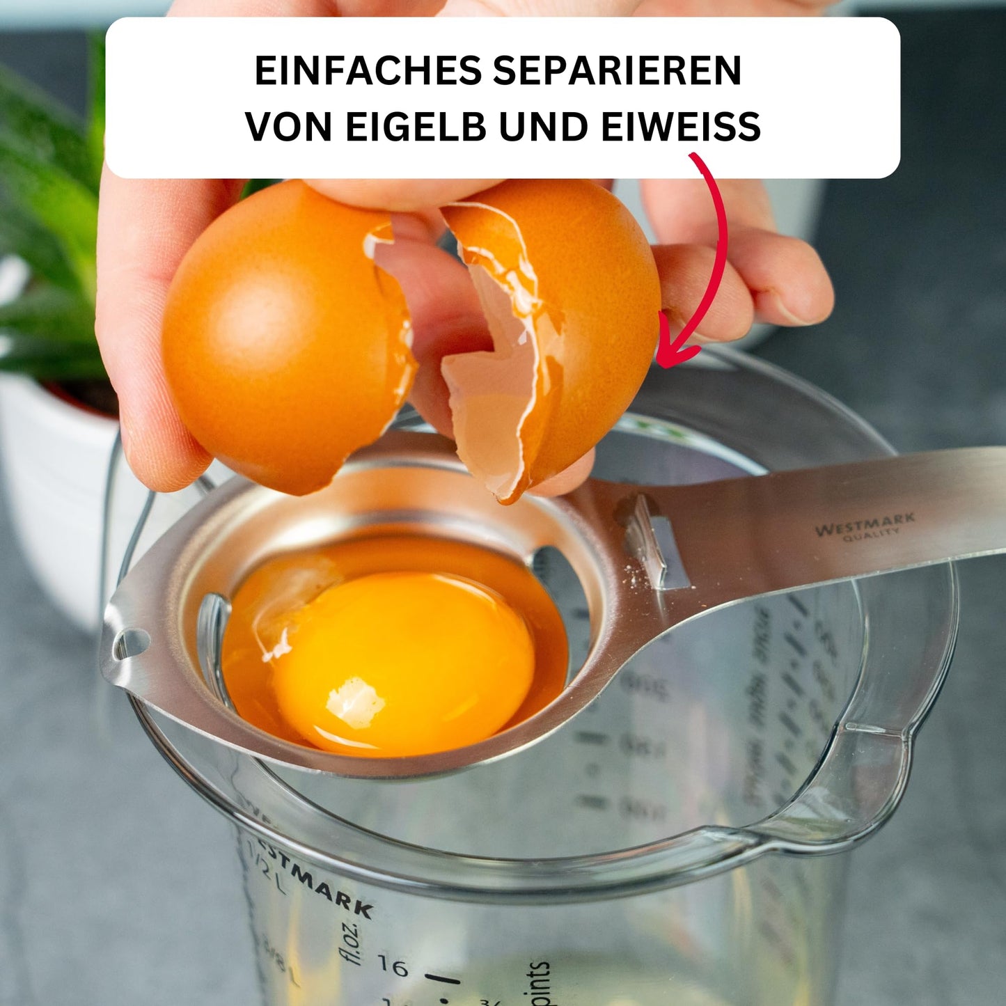 Westmark Eidottertrenner aus Edelstahl mit langem Griff 16,7 cm-Westmark