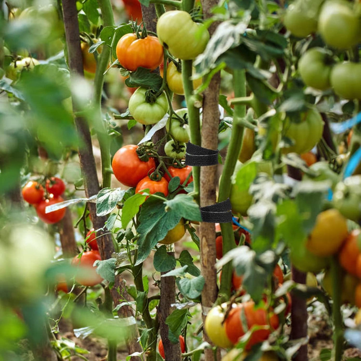 15m Klett Kabelbinder 10mm Klettband Wiederverwendbar Kabel Organizer Schwarz-Yoosso