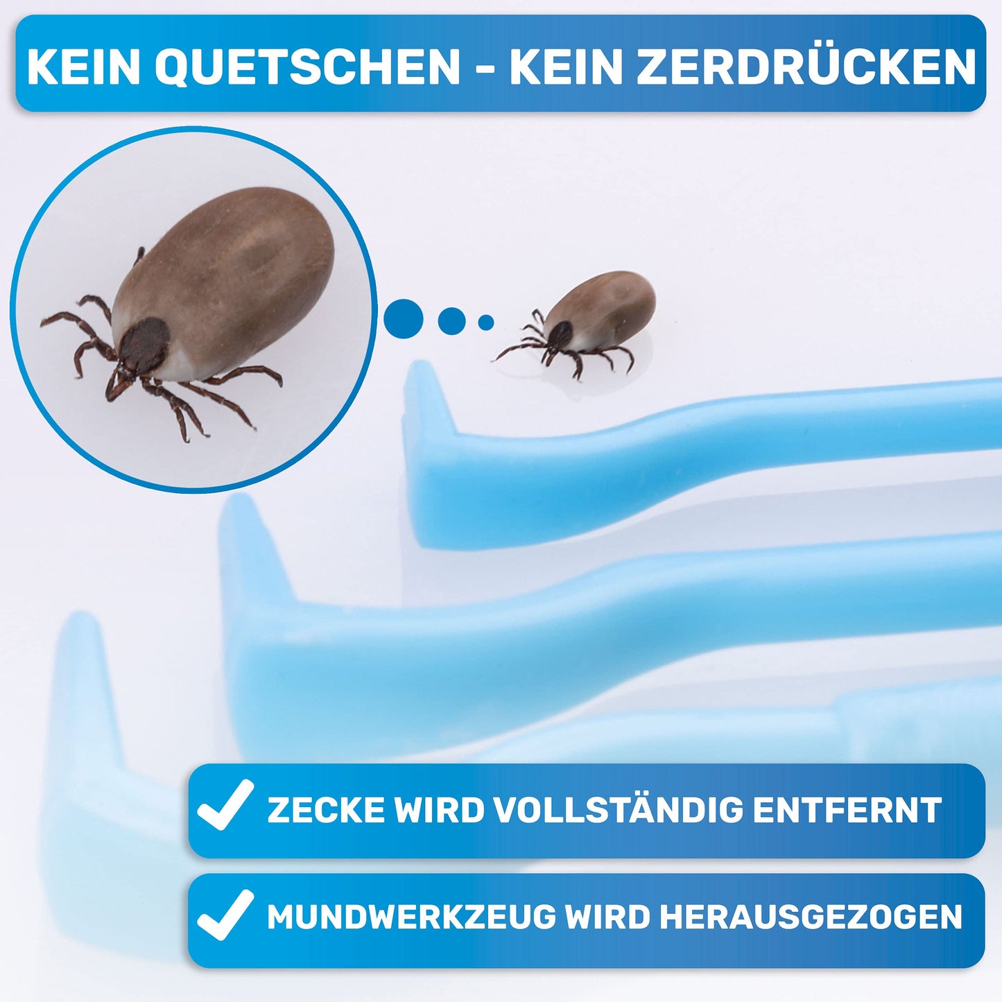 BluePet 3er Set Zeckenhaken für Hunde, Katze, Pferd & Mensch - Zeckenhebel als bewährter Zeckenentferner zur Zeckenzangen I Alternative zu Zeckenpinzette, Zeckendreher, Zeckenschutz & Zeckenmittel