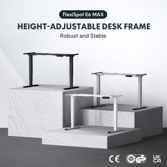 FLEXISPOT Elektrisch Höhenverstellbares Schreibtischgestell mit Dual-Motor & 3-stufigen Säulen, Sitz-Steh-Tisch Rahmen für Homeoffice & Büro, Höhenbereich 60–125 cm, mit USB-Port, EC5 Plus Schwarz