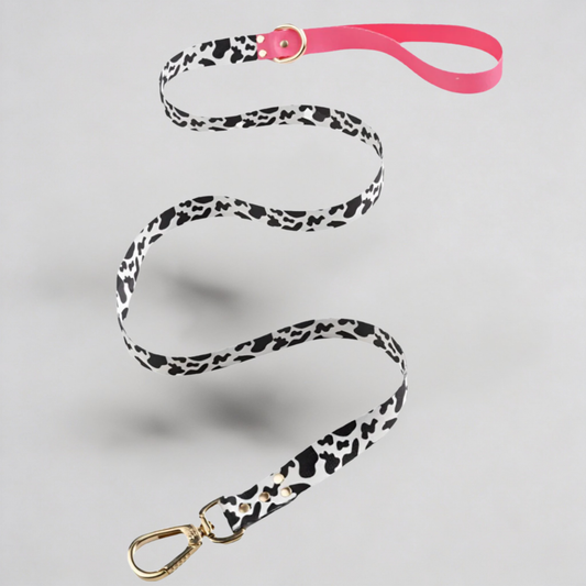 Leine CandyMix Hochwertige Hundeleine mit Goldakzenten Komfort