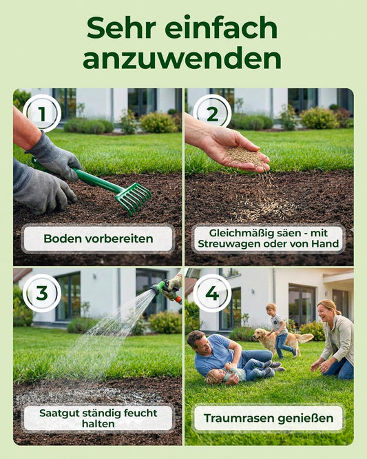 Rasensamen schnellkeimend Frühjahr & Sommer 1kg – TEST SEHR GUT – Grassamen schnellkeimend Rasen Nachsaat Made in Germany – Rasensaat 40qm - Rasensamen Frühjahr & Sommer Samen von Natureflow
