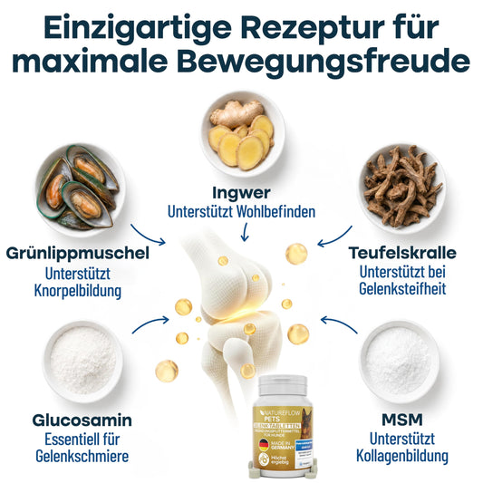 Gelenktabletten Hunde – Test SEHR GUT Made in Germany mit Grünlippmuschel, MSM und Teufelskralle - Keine Kapseln, hohe Akzeptanz Gelenktabletten Hund - 100 Stück