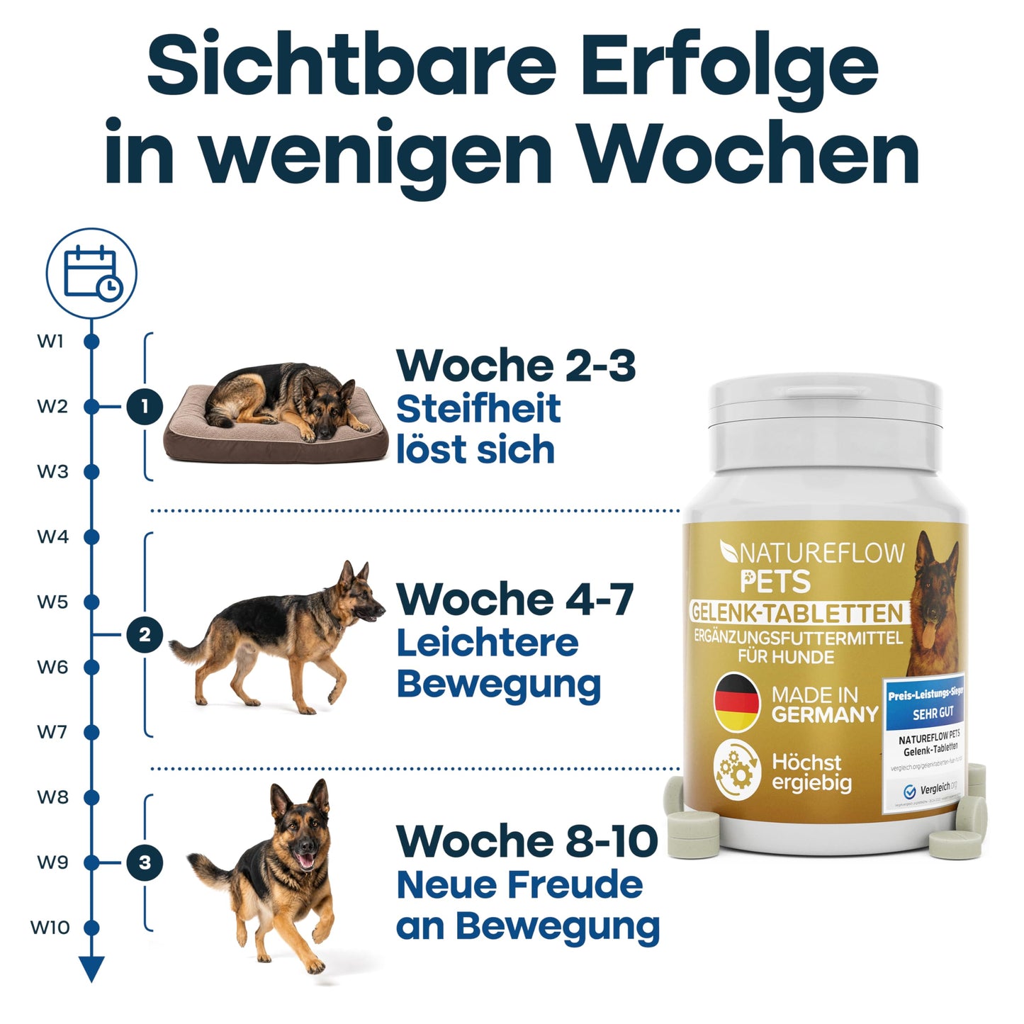 Gelenktabletten Hunde – Test SEHR GUT Made in Germany mit Grünlippmuschel, MSM und Teufelskralle - Keine Kapseln, hohe Akzeptanz Gelenktabletten Hund - 100 Stück