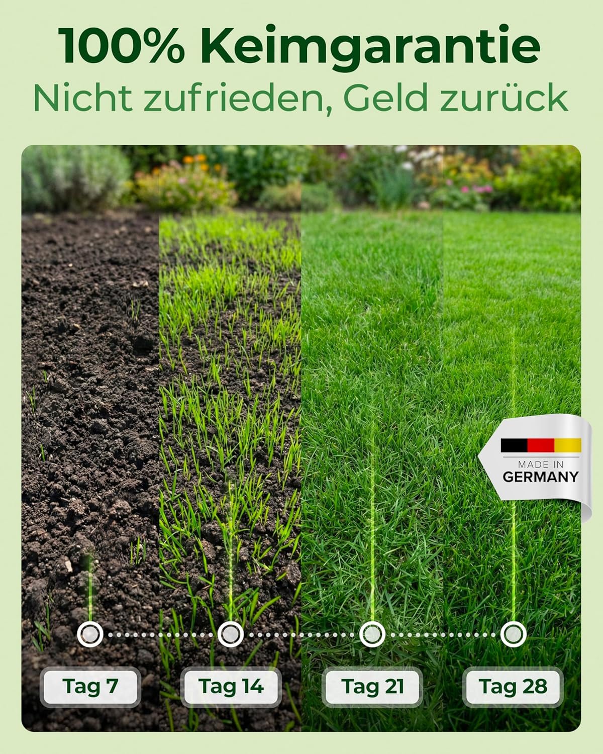 Rasensamen schnellkeimend Frühjahr & Sommer 1kg – TEST SEHR GUT – Grassamen schnellkeimend Rasen Nachsaat Made in Germany – Rasensaat 40qm - Rasensamen Frühjahr & Sommer Samen von Natureflow