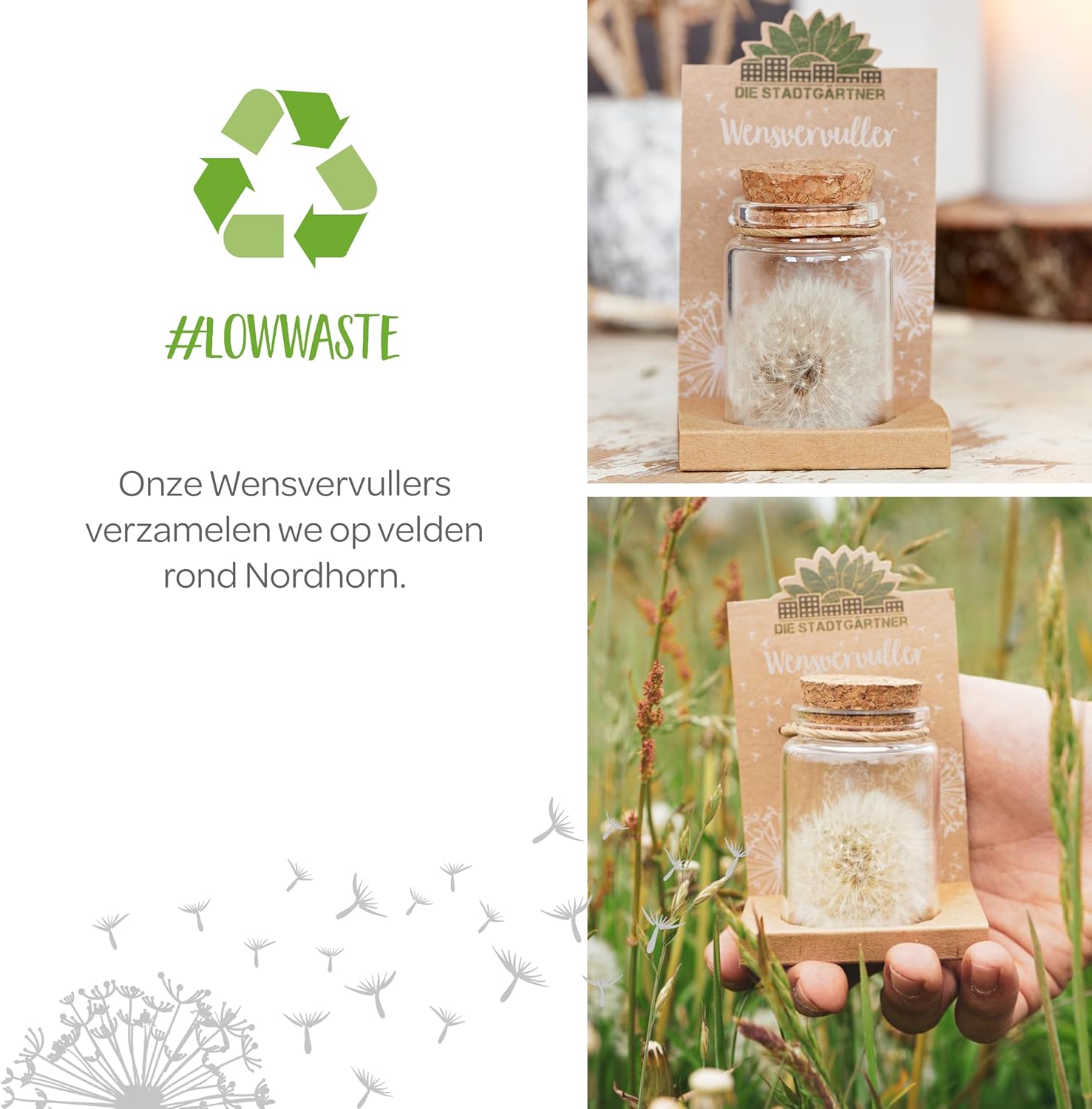 Handgemachte Wensvervuller mit über 100 Wünschen als kreatives Geschenk-Die Stadtgärtner