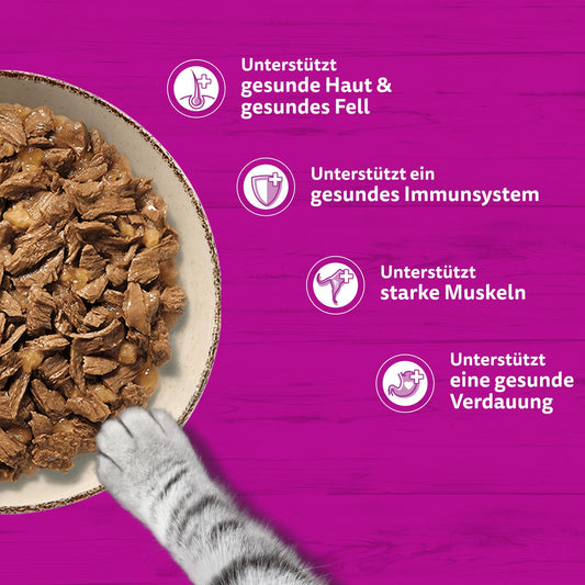 Whiskas 1+ Katzennassfutter Ragout Geflügel Auswahl in Gelee, 40x85g (1 Packung) – Hochwertiges Nassfutter für ausgewachsene Katzen in 40 Portionsbeuteln