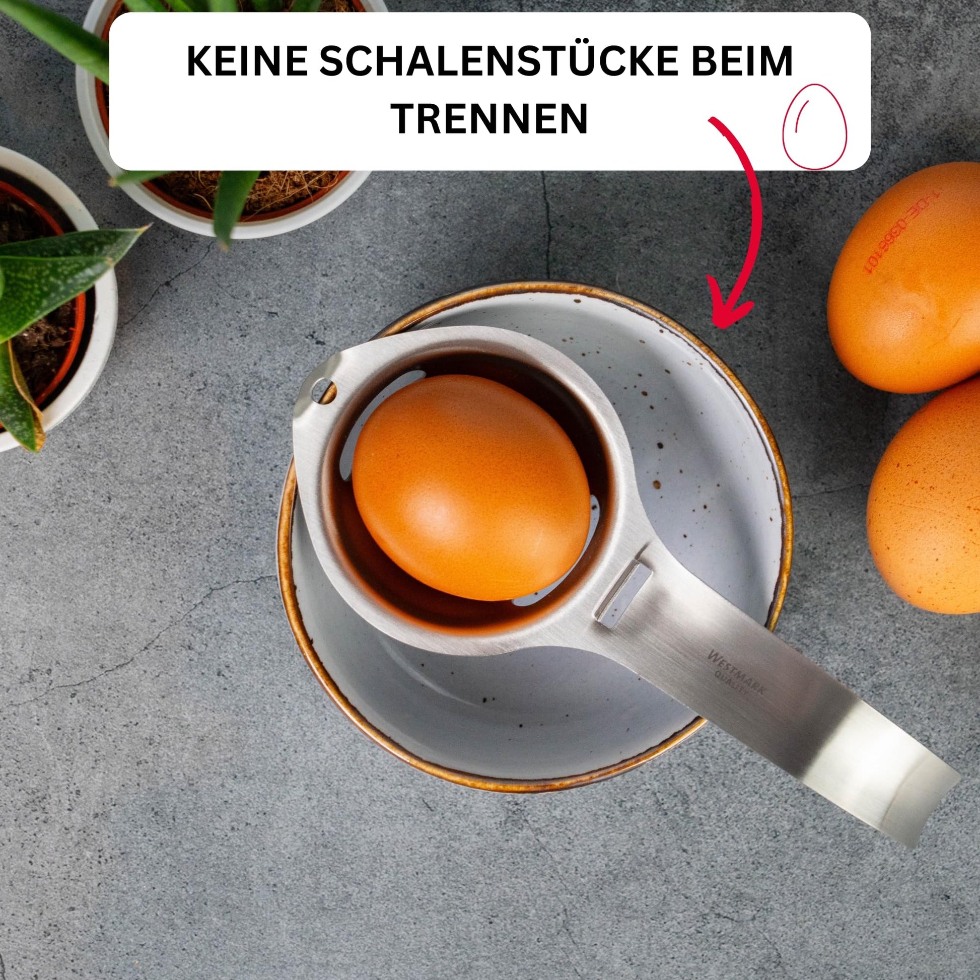 Westmark Eidottertrenner aus Edelstahl mit langem Griff 16,7 cm-Westmark