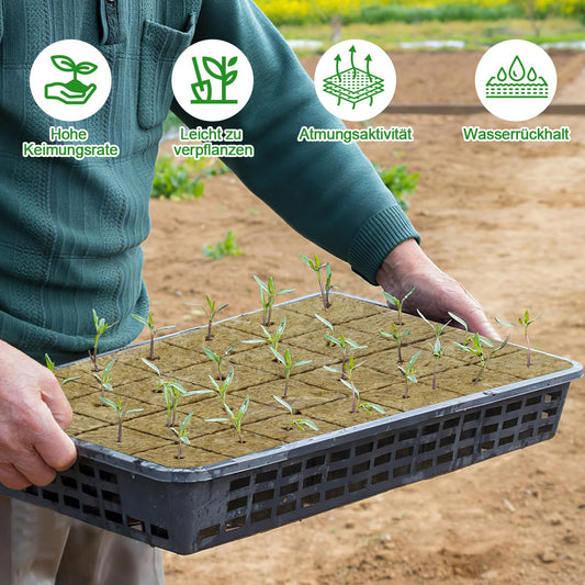 Steinwolle Anzucht Würfel für Hydroponik 50 Stück 2,5 x 2,5 x 2,5 cm-Nuyoah