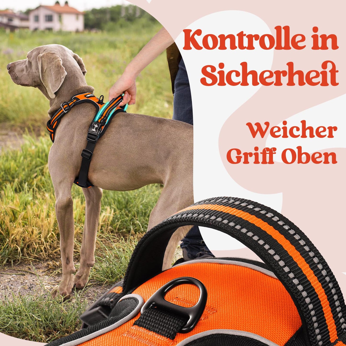rabbitgoo Hundegeschirr Grosse Hunde, Verstellbare Geschirr Hund ohne Zug & Würgen, Anti Zug Hundegeschirr mit Griff, weich Gepolsterte Reflektierende Brustgeschirr, Orange L