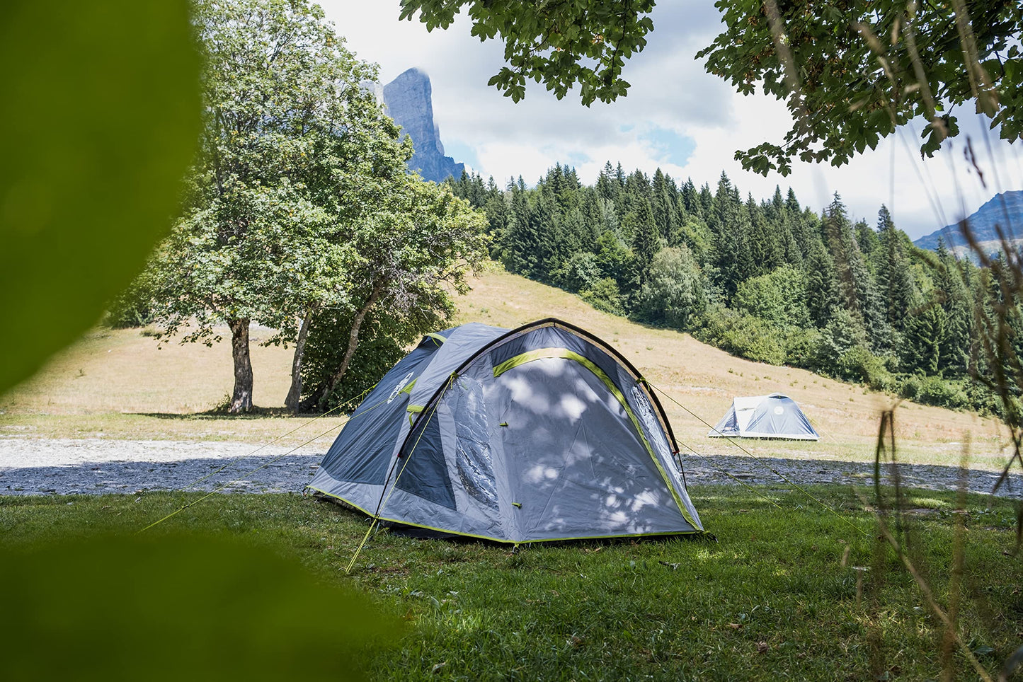 Coleman Darwin 4 Plus Zelt