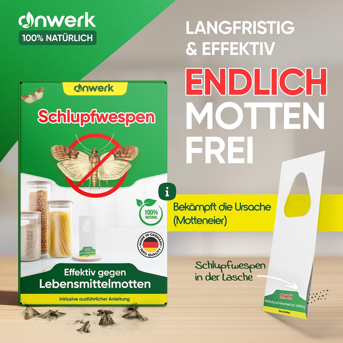 anwerk® Schlupfwespen gegen Lebensmittelmotten - 100 Karten (25 Karten à 4 Lieferungen) - Effektiv Lebensmittel Motten bekämpfen - Alternative zur Mottenfalle, Mottenspray, Pheromonfalle