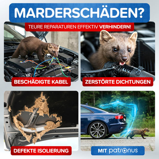Marder Power Kugeln [5 Stück] für maximale Marderabwehr Auto - 6 Monate Marderschutz für Auto - effektive Marderschreck-Kugeln inkl. PKW-Halterung
