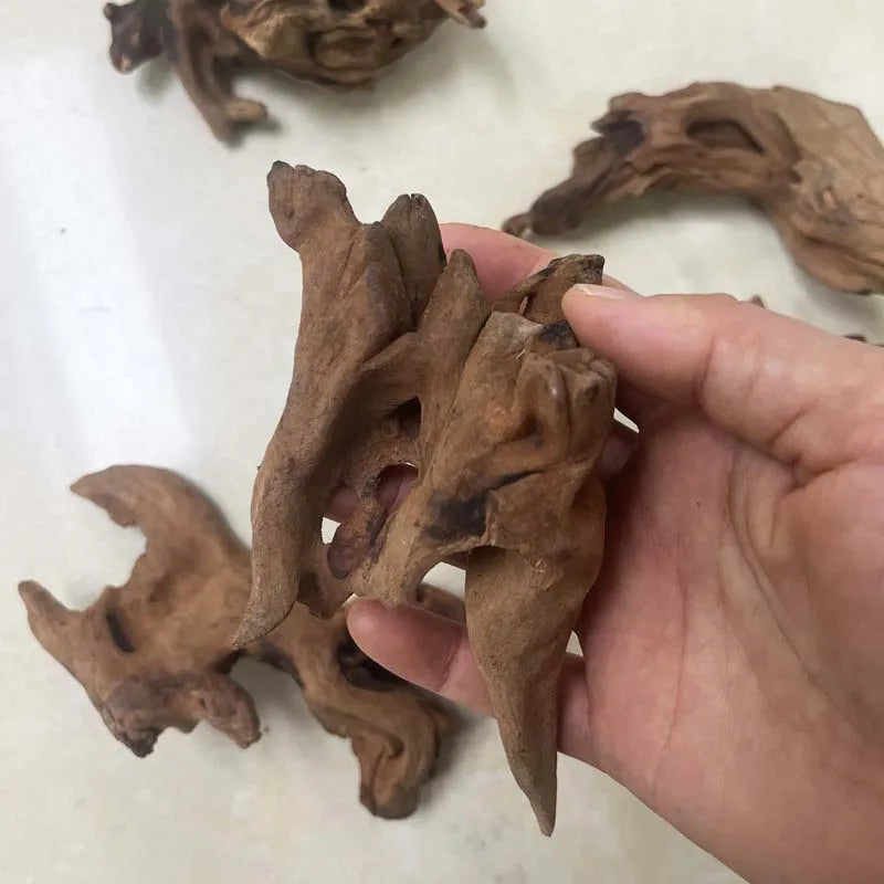 Natürliche Treibholz Aquarium Dekoration – Versenkbar für Wasserpflanzen