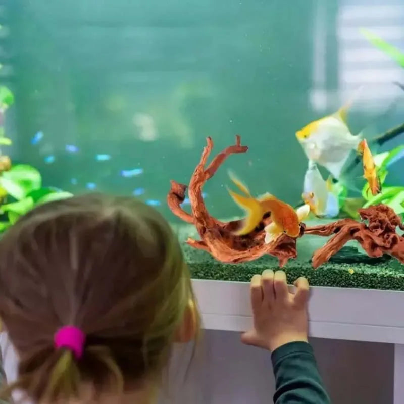 Natürliche Treibholz Aquarium Dekoration – Versenkbar für Wasserpflanzen