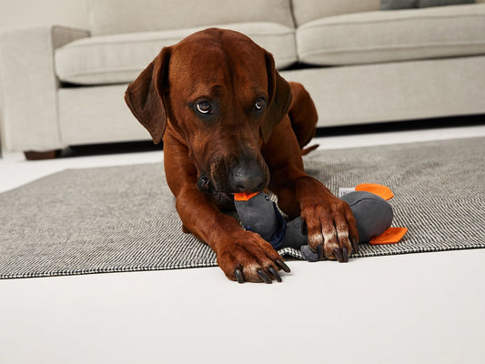 Leises Hundespielzeug Gans ÖNNE aus ökologischen Materialien-SABRO GmbH