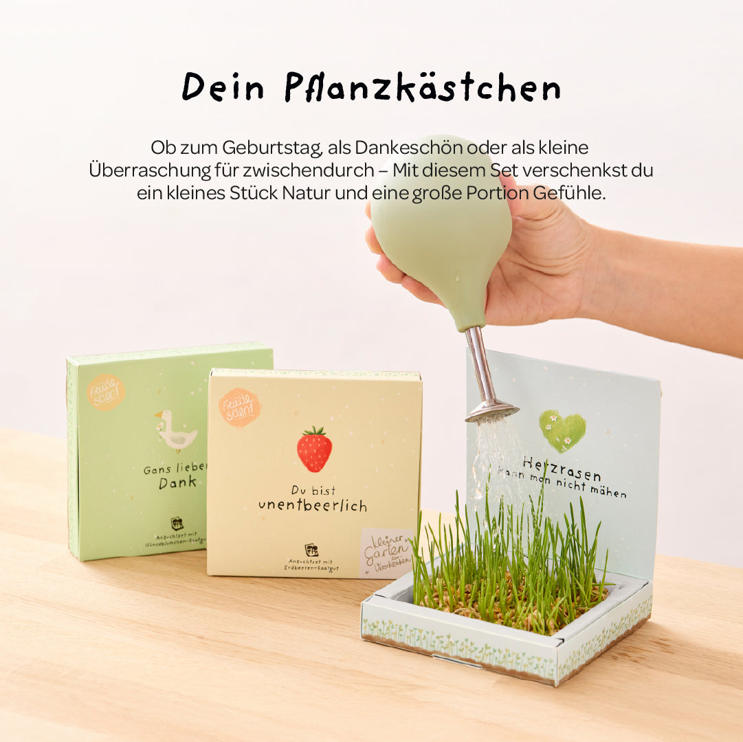 Pflanzkästchen Hab dich ganz doll lieb Wildblumen Saatgut Geschenk-Die Stadtgärtner