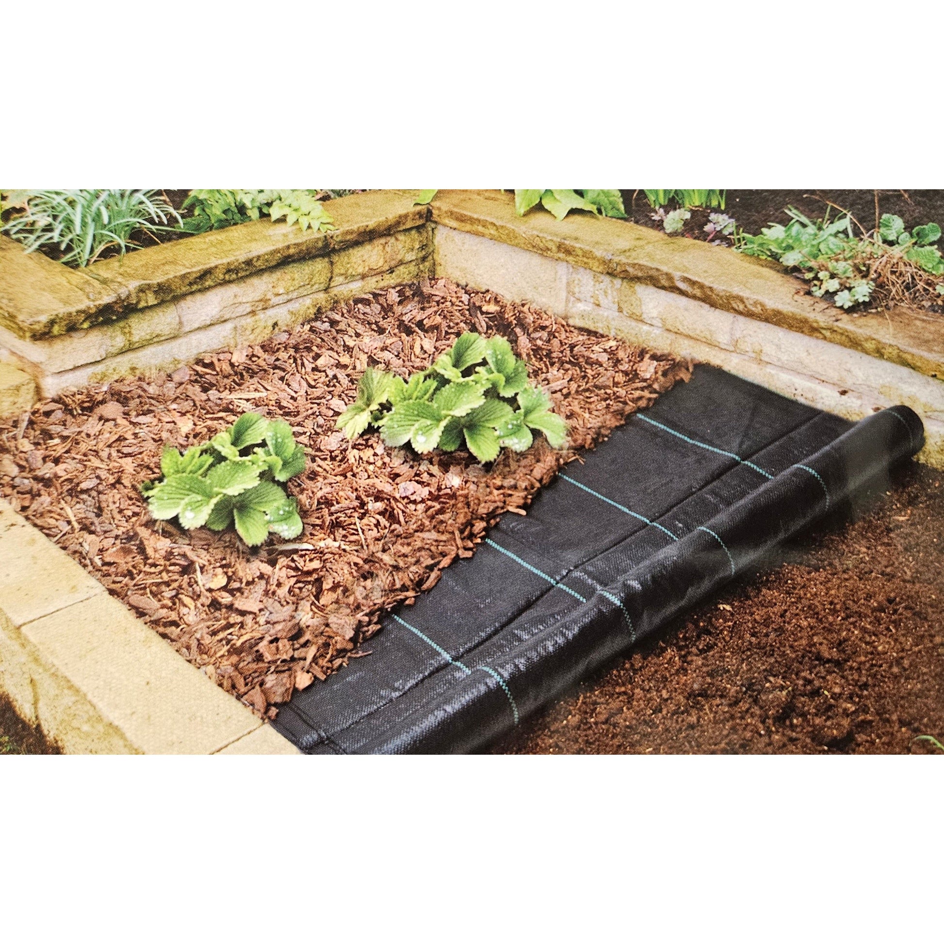 Reißfestes Unkrautvlies wasserdurchlässig 100x1000cm