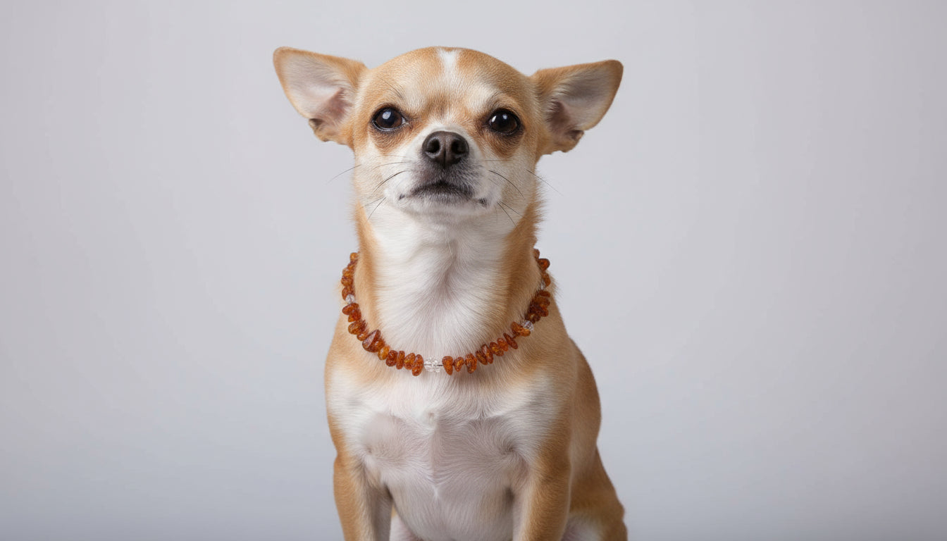 Exklusive Bernsteinkette mit Bergkristall – Handgefertigtes Hunde-Highlight