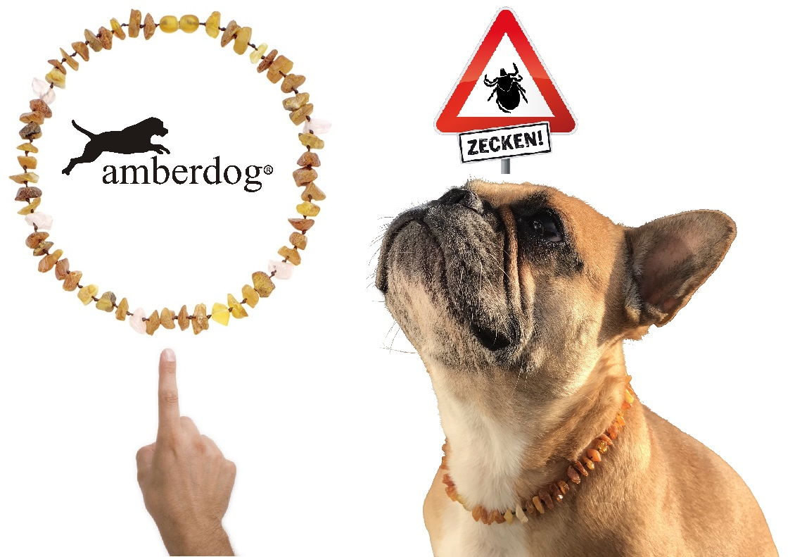 Hunde Bernsteinkette Rosenquarz Naturprodukt mit Farbvielfalt