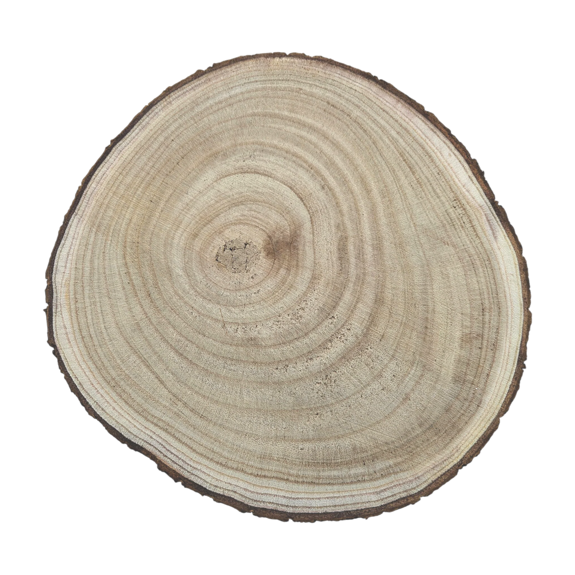 Rustikales Kerzentablett Baumscheibe auf Füßen natur 20-26 cm